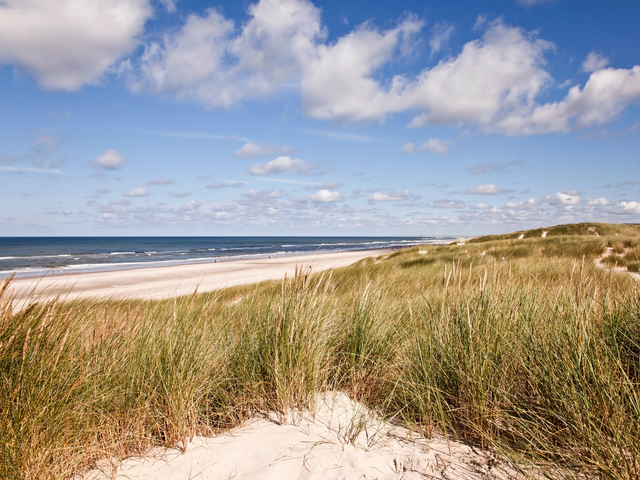 Zanderijweg 20, bouwnummer 24 , CASTRICUM