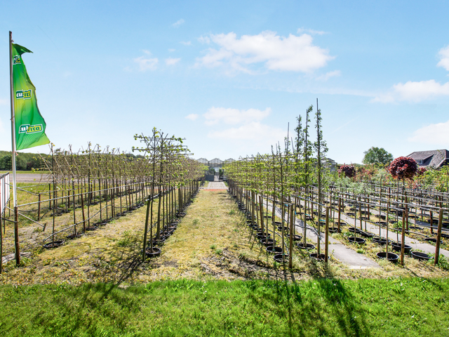 Zanderijweg 11, bouwnummer 1 , CASTRICUM