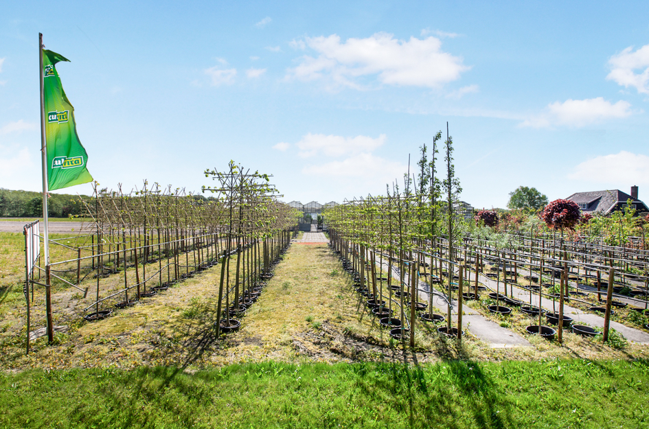 Zanderijweg 11, bouwnummer 1 