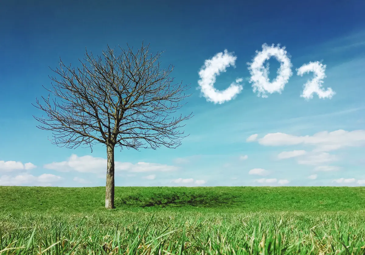 CO2 opslaan onder de grond, zo gevaarlijk is het