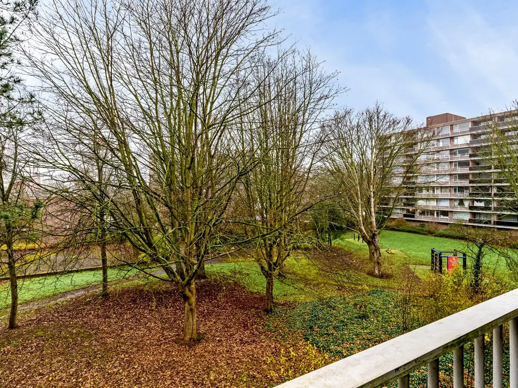 Komijnhof 59, HOOGVLIET ROTTERDAM