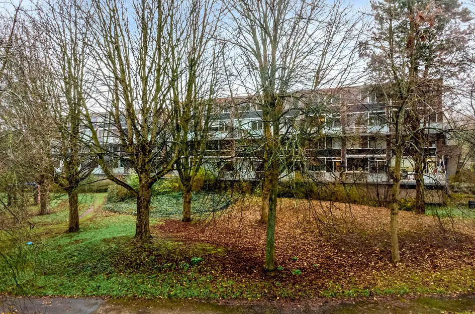 Komijnhof 59