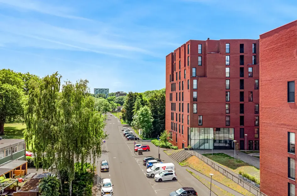 Wijnruitstraat 421