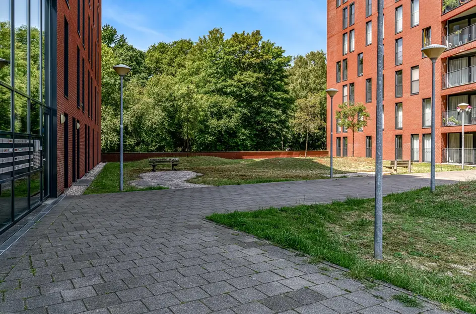Wijnruitstraat 421