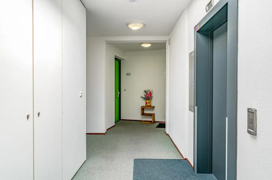Wijnruitstraat 421