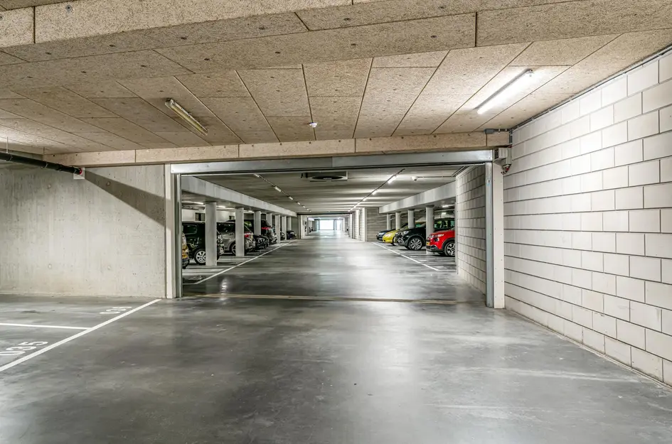 Wijnruitstraat 421