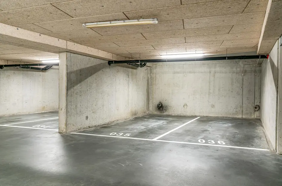 Wijnruitstraat 421