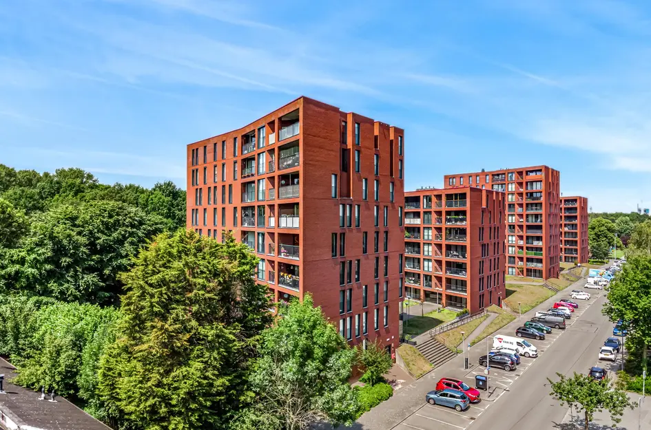 Wijnruitstraat 421