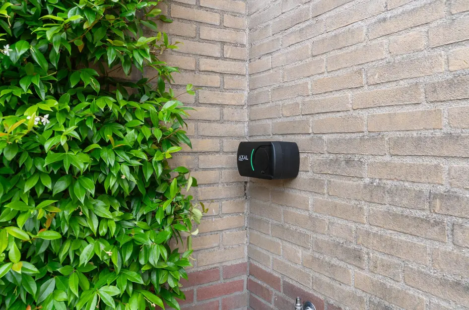 Zwette 20