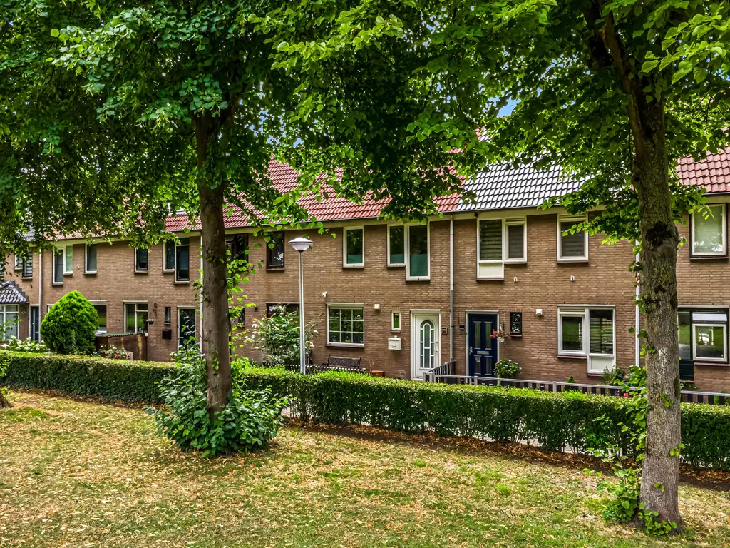 Borstelgras 58, SPIJKENISSE