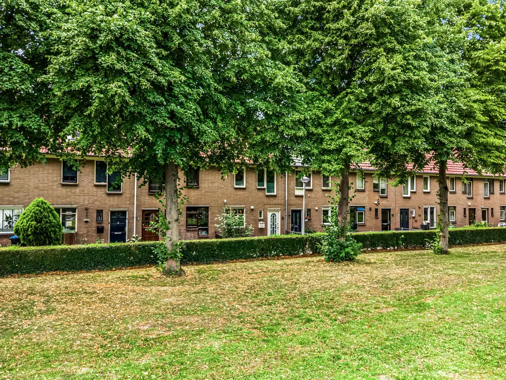 Borstelgras 58, SPIJKENISSE
