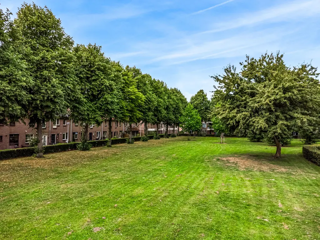 Borstelgras 58, SPIJKENISSE