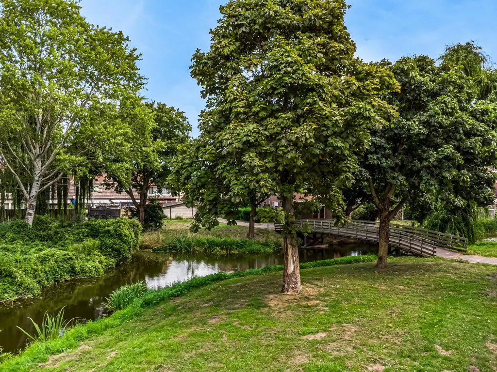 Borstelgras 58, SPIJKENISSE