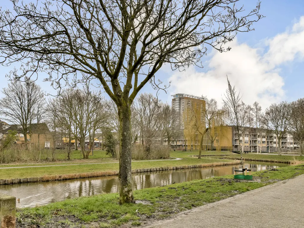 Smetanastraat 12, SPIJKENISSE