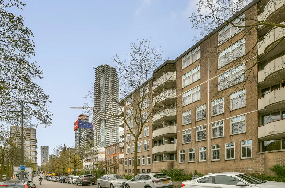 Vasteland 411