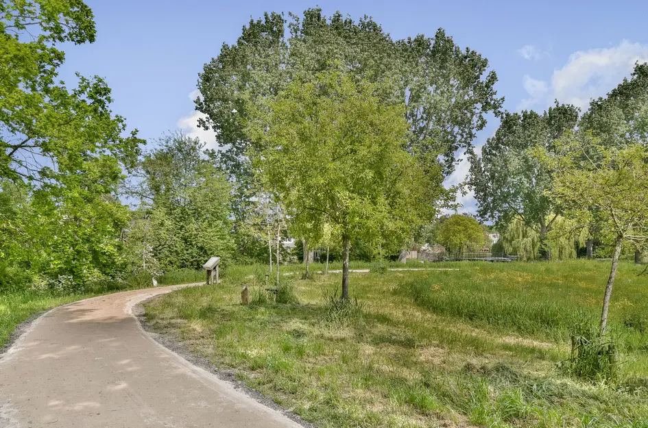 Krekelveen 409