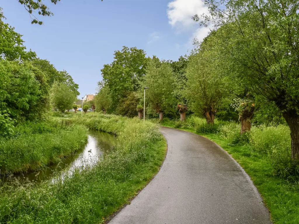 Druivengaard 41, SPIJKENISSE