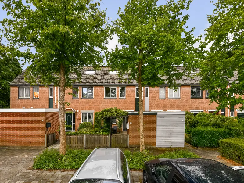Druivengaard 41, SPIJKENISSE
