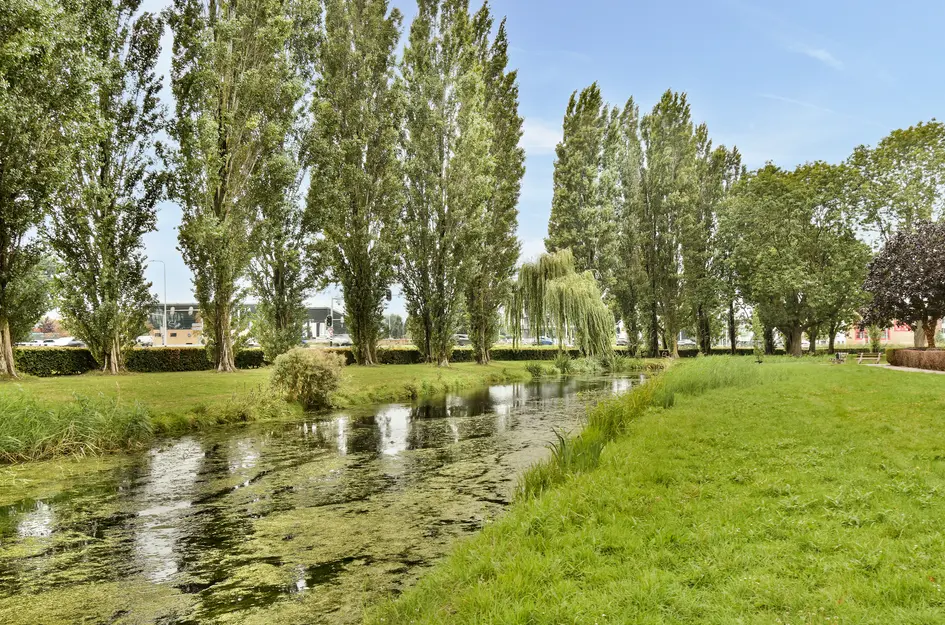 Tollensstraat 3