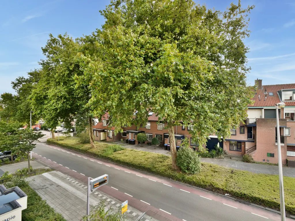 Vlinderveen 2402, SPIJKENISSE