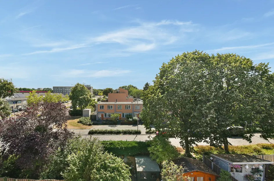 Bijster 25