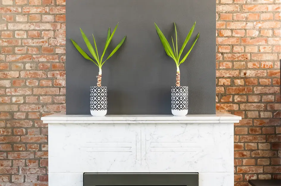 Paul Krugerstraat 202