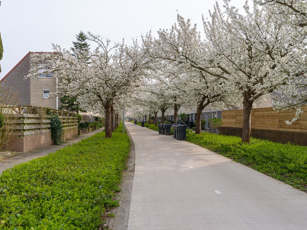 Bachdreef 66, Harderwijk