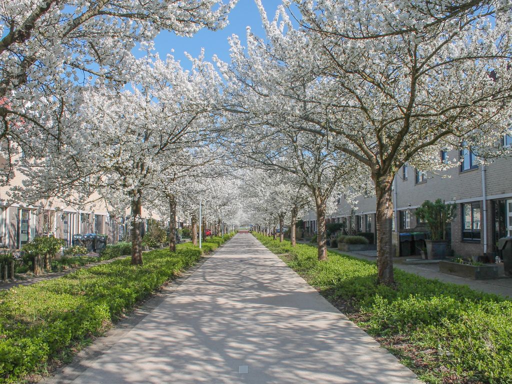 Bachdreef 66, Harderwijk