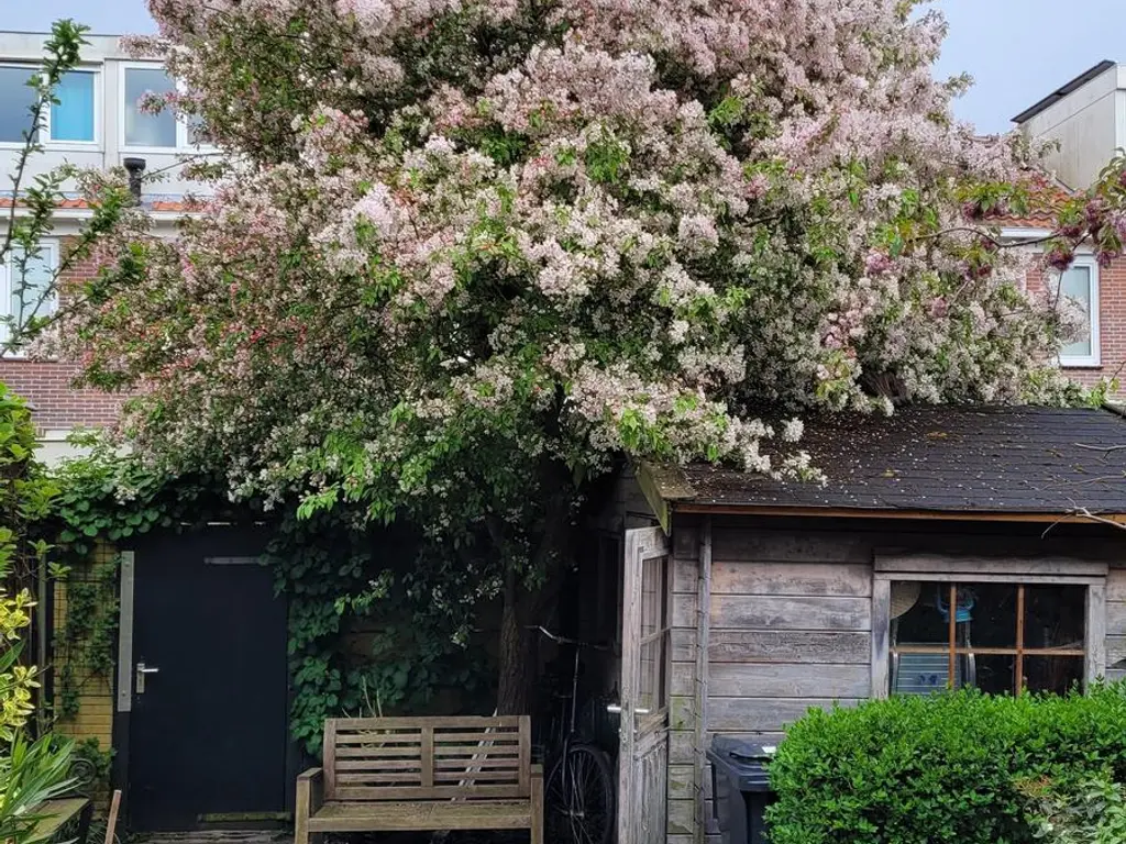 Theemsstraat 32, Haarlem