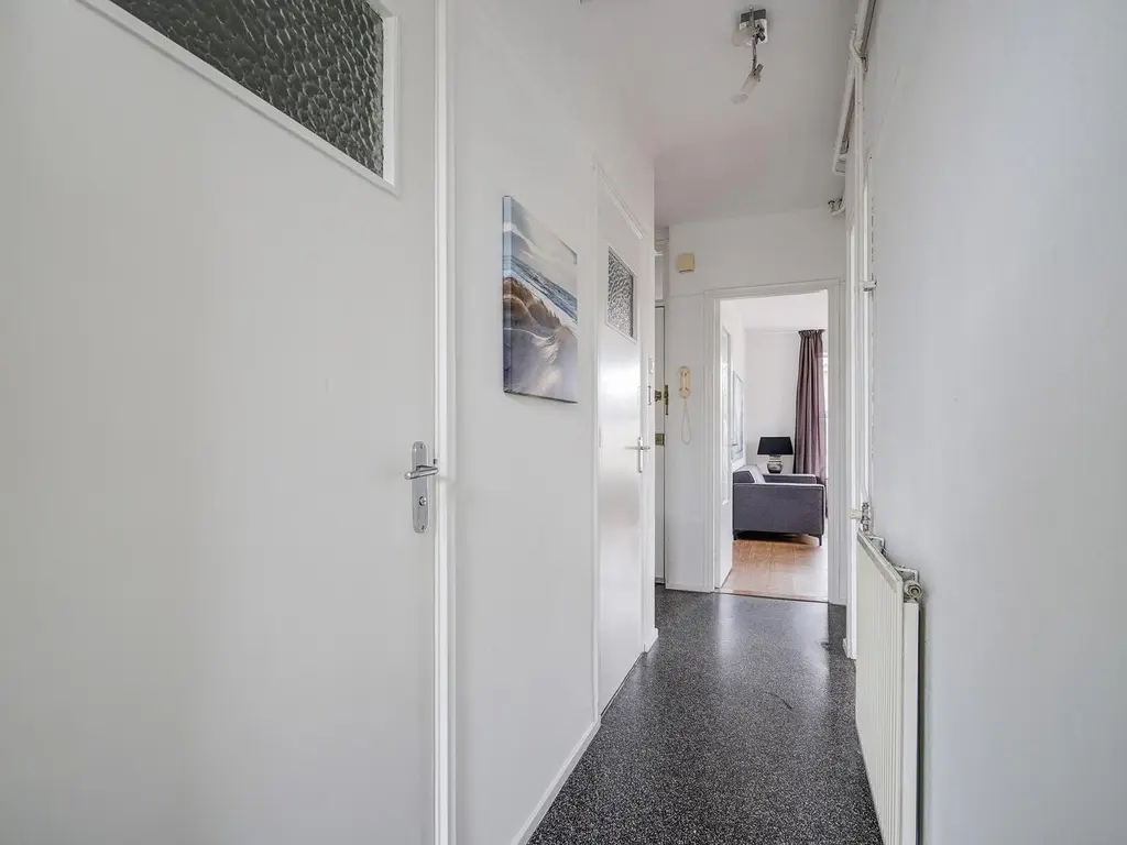 Rijklof van Goensstraat 87, 'S-Gravenhage
