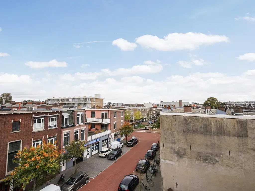 Rijklof van Goensstraat 87, 'S-Gravenhage