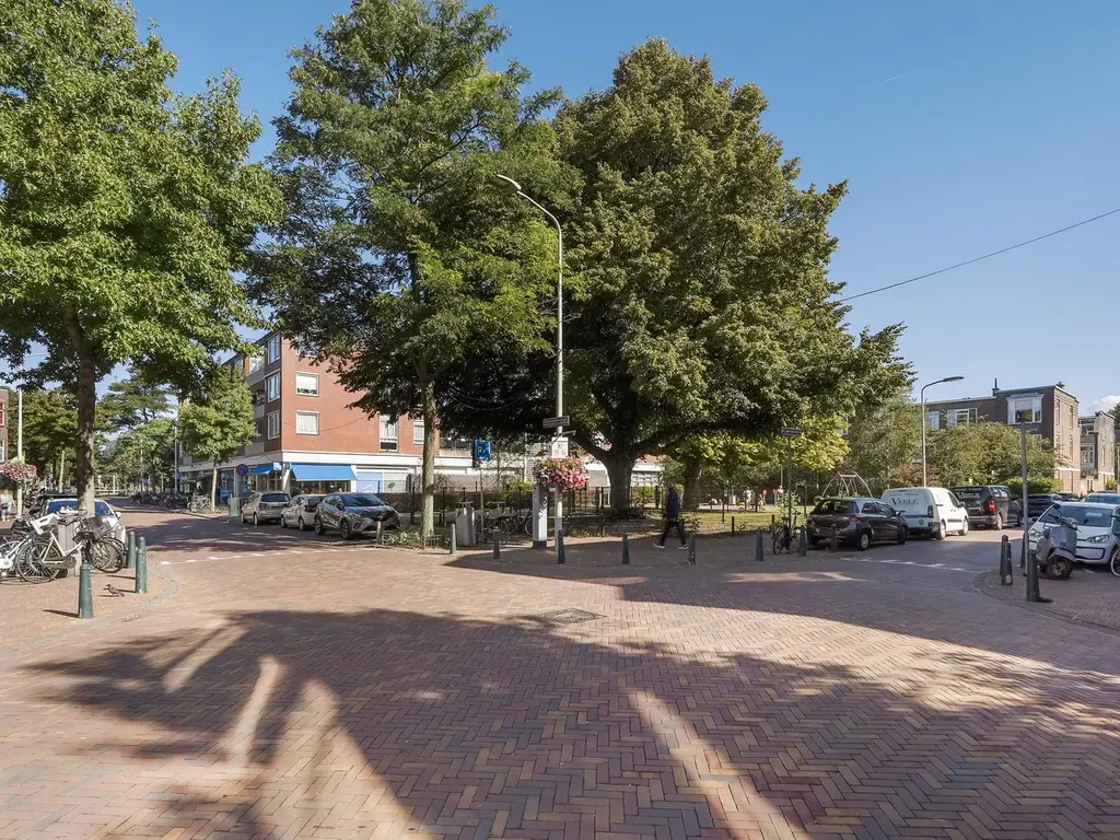 Fahrenheitstraat 699, 'S-Gravenhage