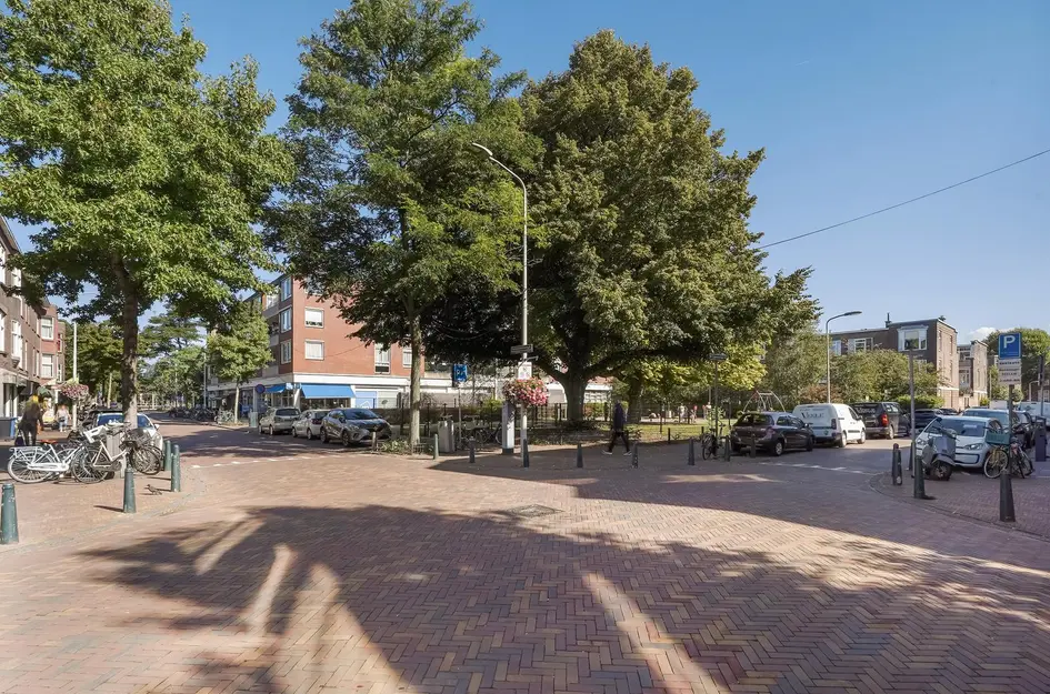 Fahrenheitstraat 699