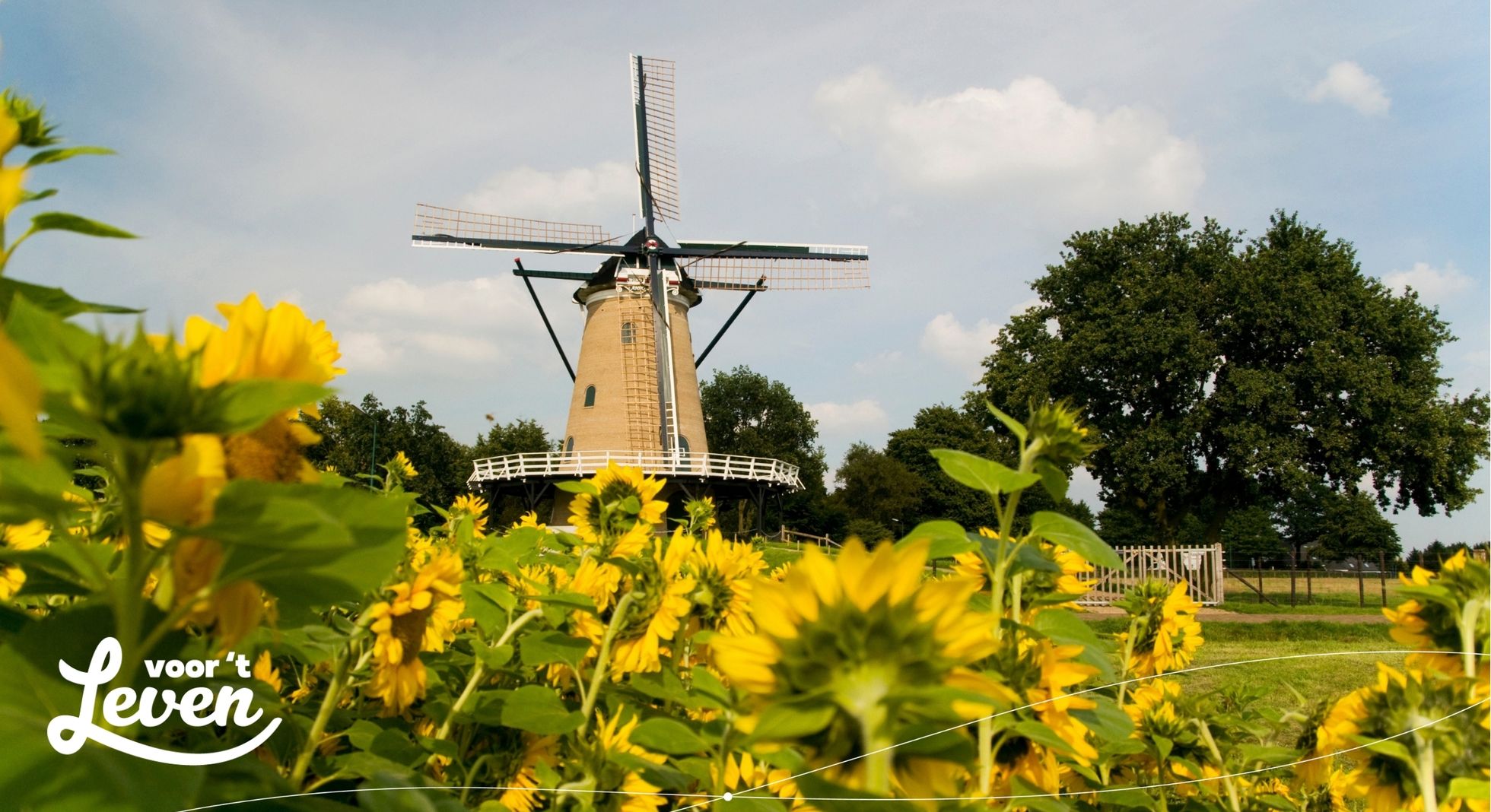 Waarom verhuizen steeds meer mensen naar buiten de stad?
