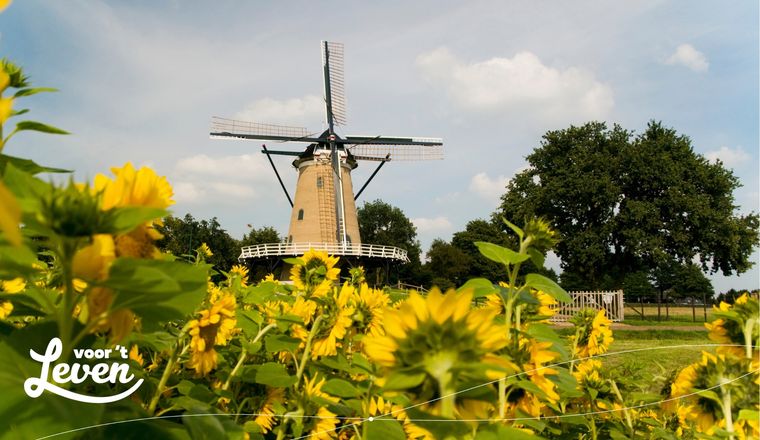 Waarom verhuizen steeds meer mensen naar buiten de stad?