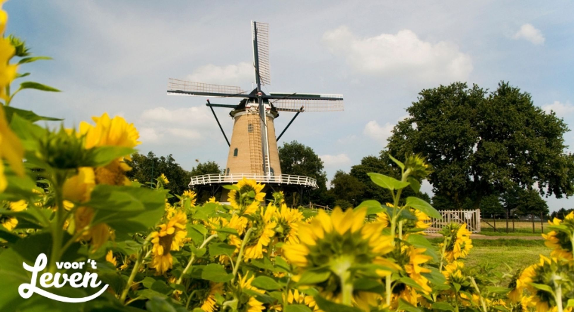 Waarom verhuizen steeds meer mensen naar buiten de stad?