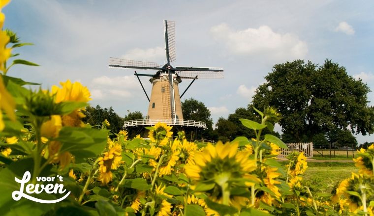 Waarom verhuizen steeds meer mensen naar buiten de stad?