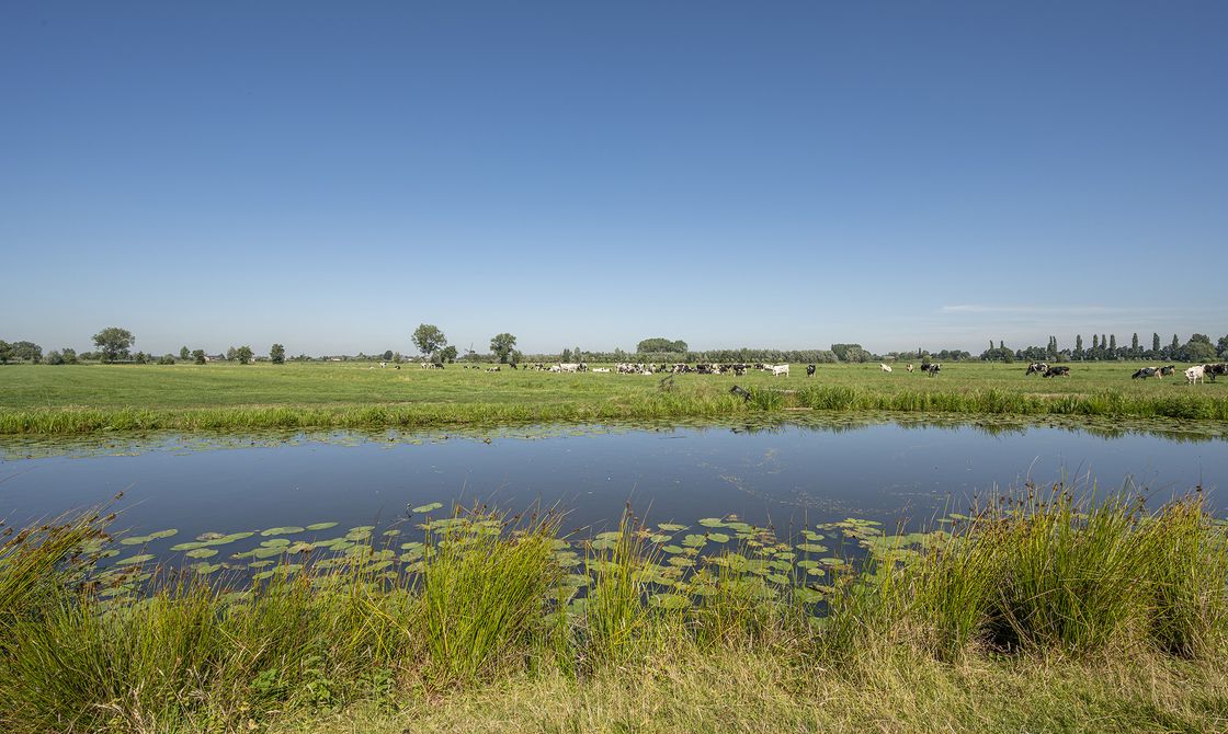 MoVe 2 Hoornaar - 6 woningen in Hoornaar, afbeelding 16