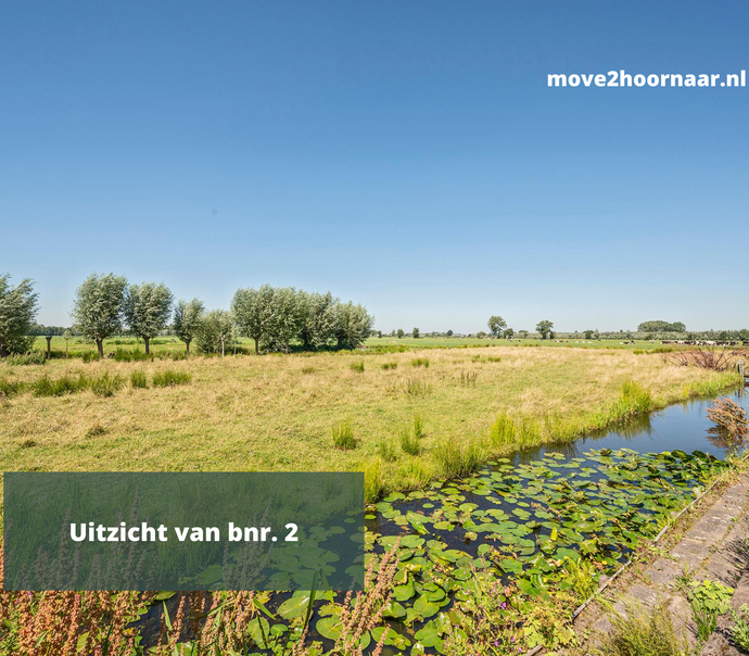 Afbeelding 12