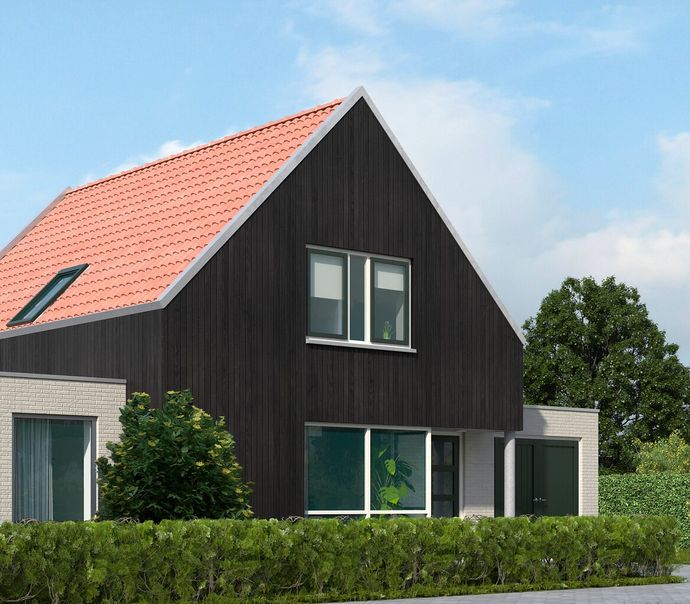Afbeelding 8