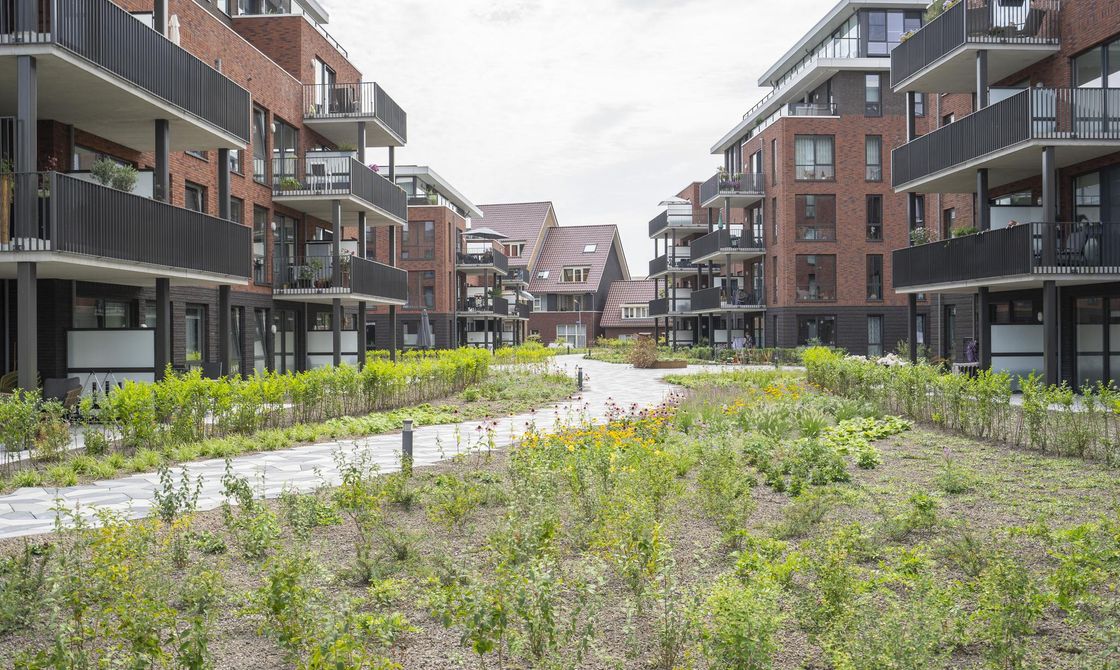 Wilhelminakwartier fase 2, afbeelding 3