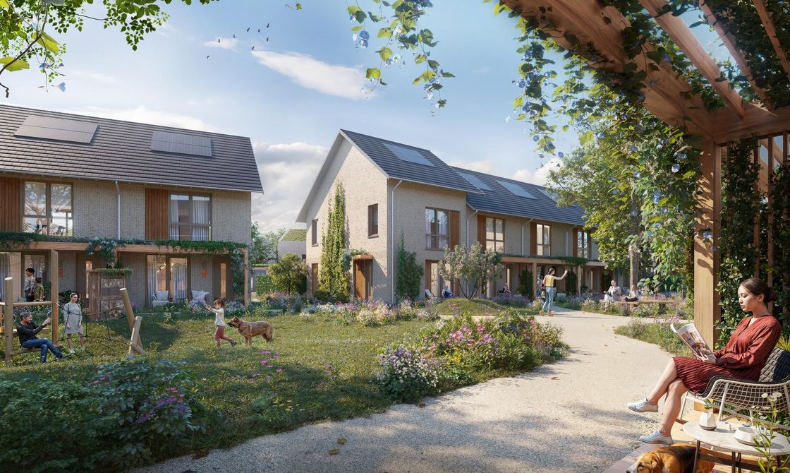 BROEKGRAAF - WIJD & ZIJD | Fase I, afbeelding 1