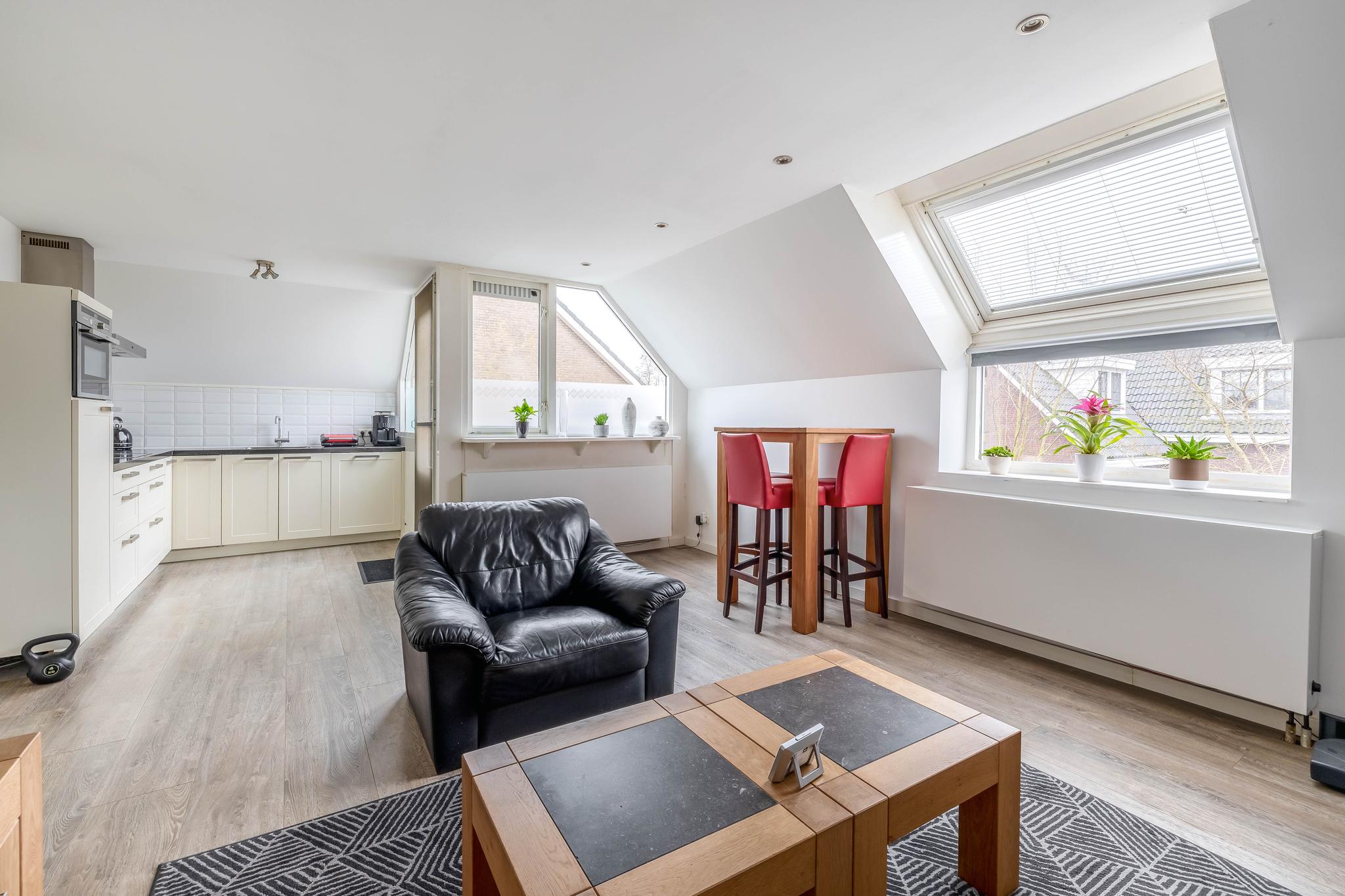 Watervluchtmolen 60a, afbeelding 0