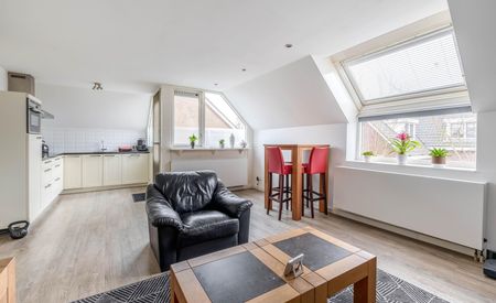 Watervluchtmolen 60a