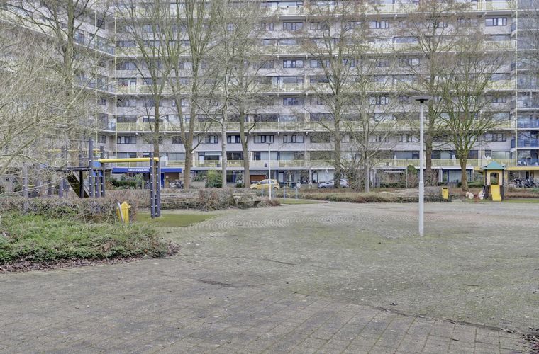 Afbeelding 36