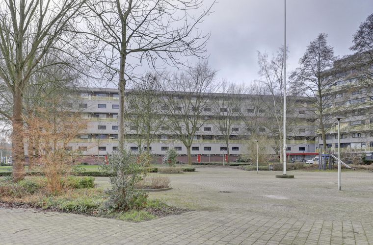 Afbeelding 37