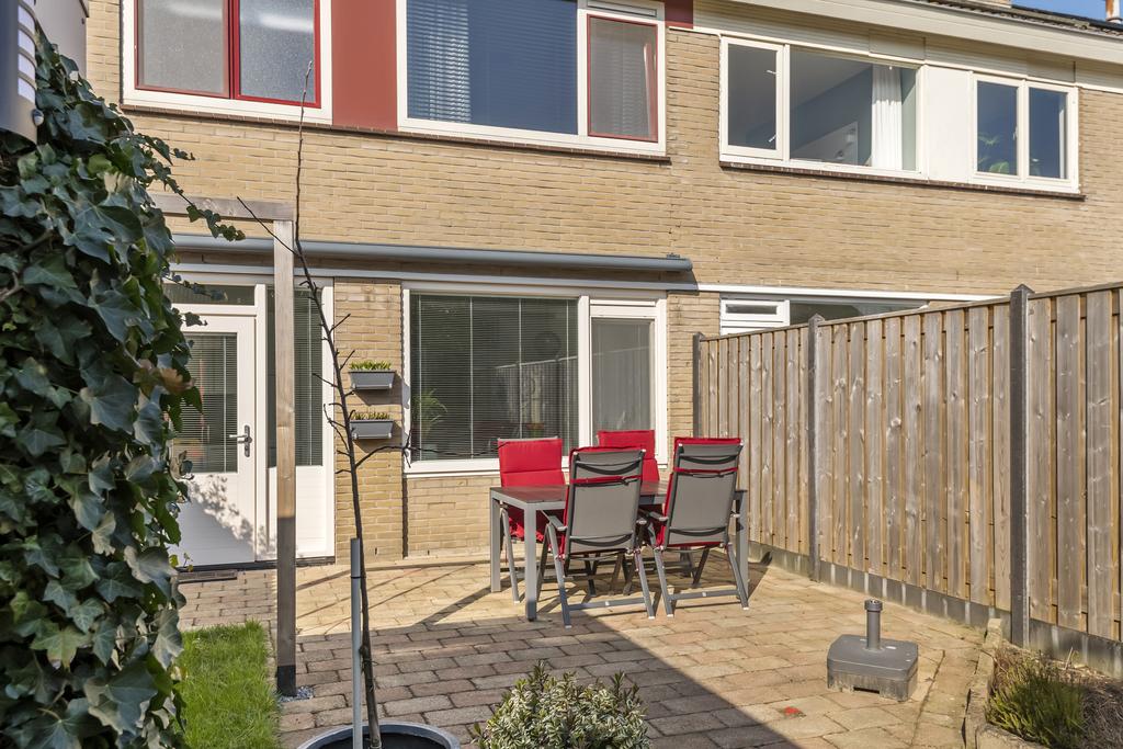 Ganzebloem 19, afbeelding 31