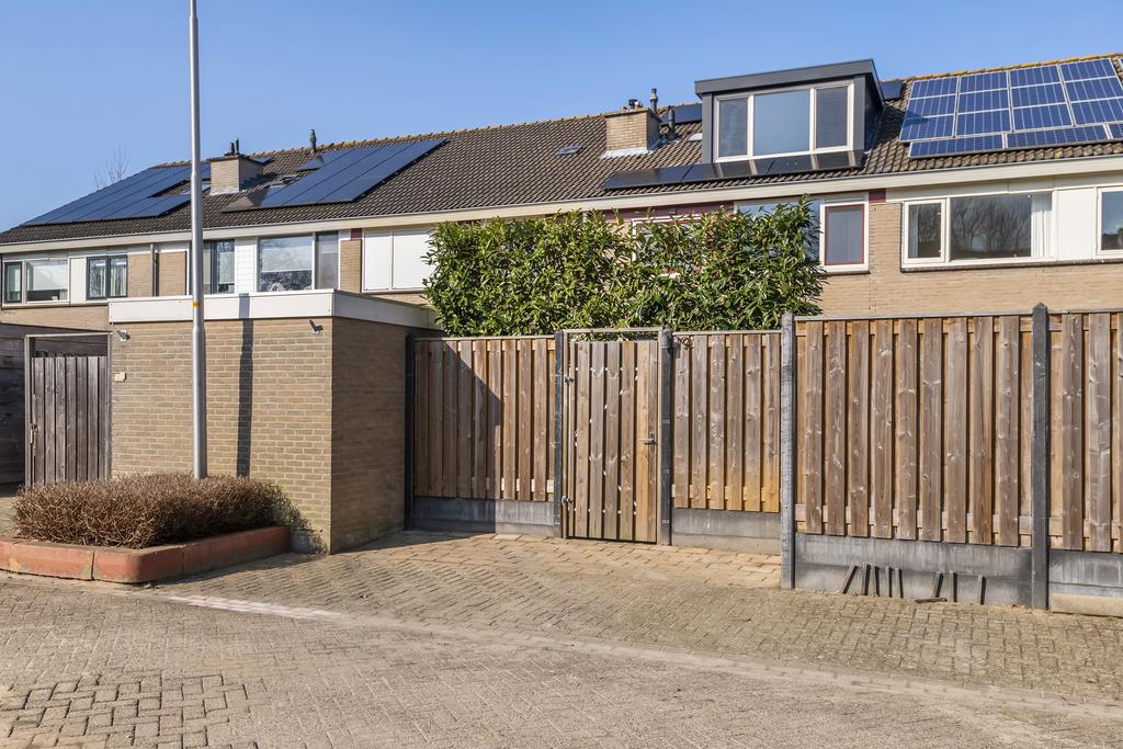 Ganzebloem 19, afbeelding 34