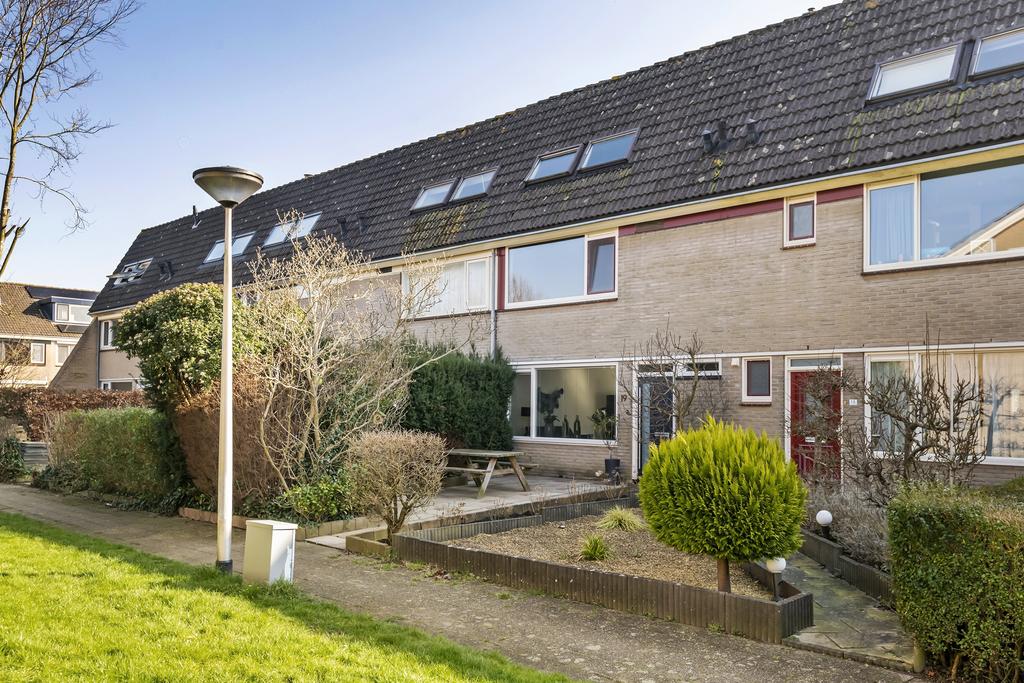 Ganzebloem 19, afbeelding 35