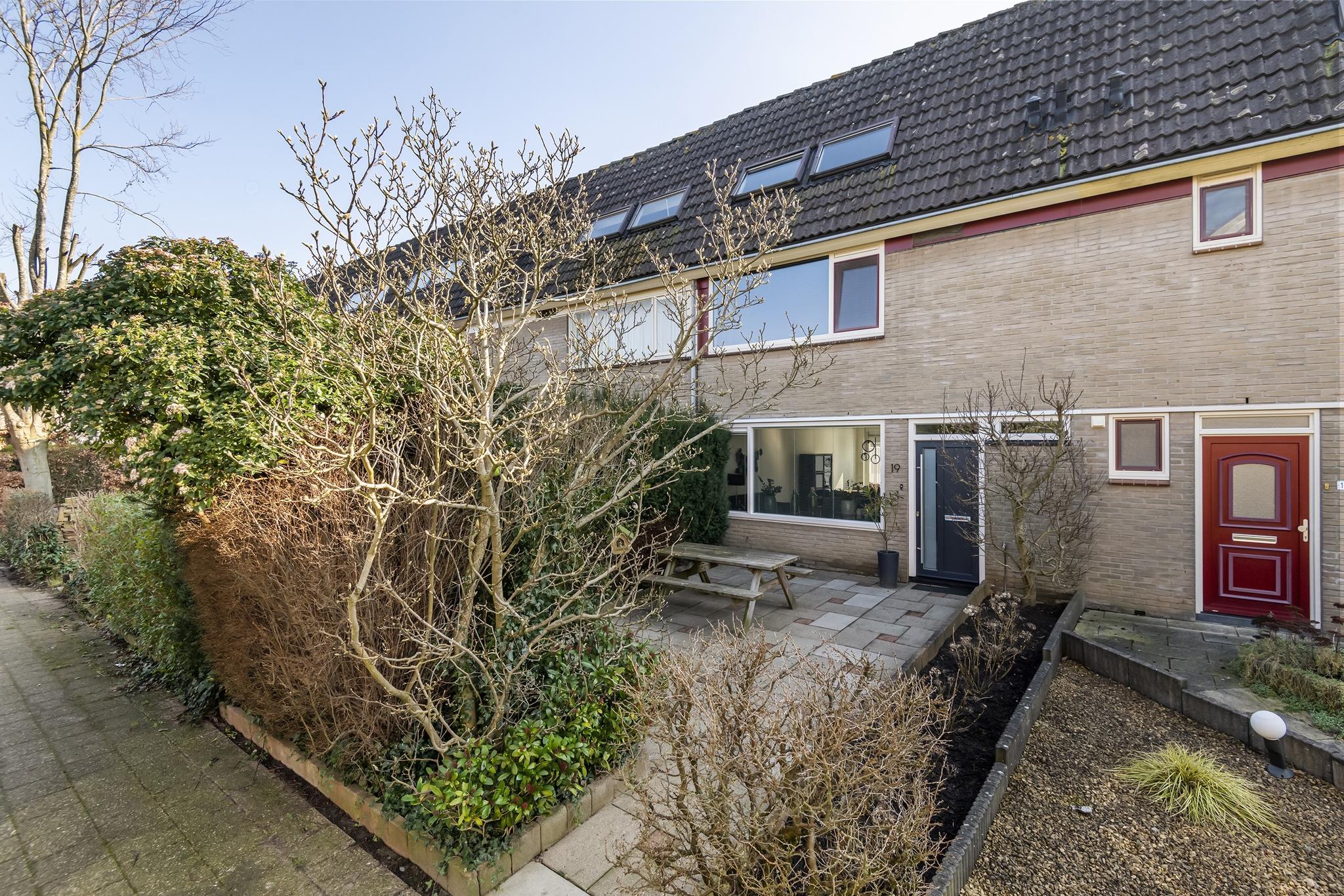 Ganzebloem 19, afbeelding 0